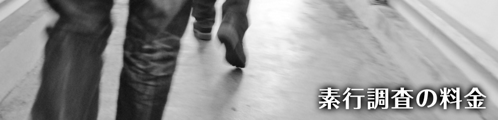 素行調査の料金
